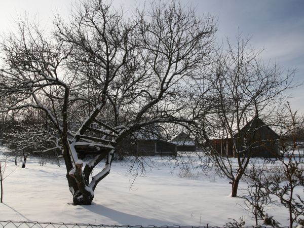 zdjecie Tyniewicze Duże