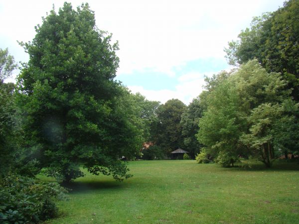 zasoby założenia parkowego obfitują w egzotyczne nasadzenia - dzisiaj : pomniki przyrody.