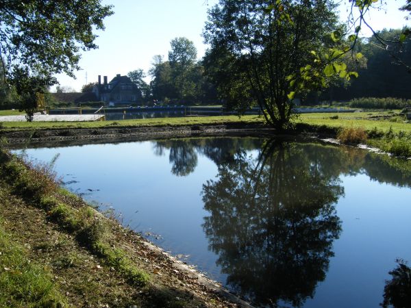 zdjecie Stare Kurowo