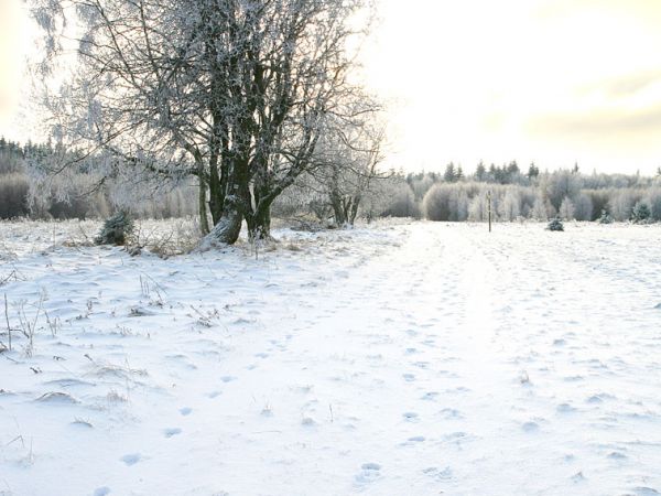 Zima w Pasterce w górach Stołowych. Malutka, malownicza wioska u samego podnóża Szczelińca Wielkiego jest unikalną już oazą ciszy i spokoju zadziwiając przy tym