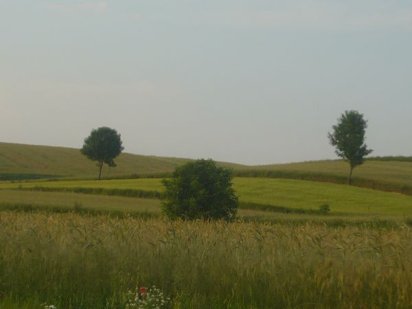 Zdjęcia Grodysławice