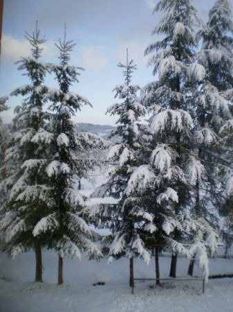 zdjecie Bereżnica Wyżna