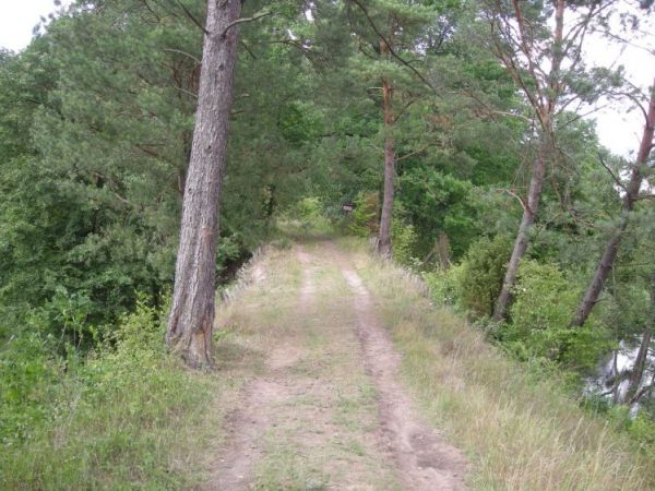 Wejscie do rezerwatu: Krzywe Kolo