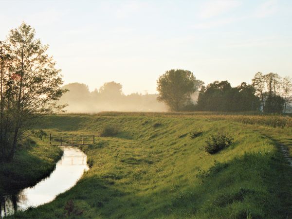 Zdjęcia Stare Załubice