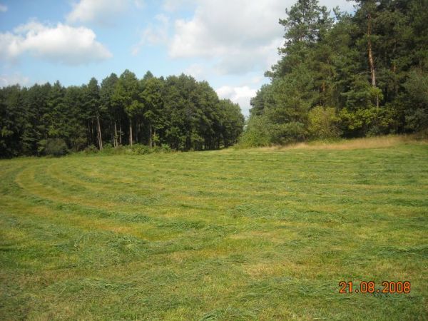 Zdjęcia Wysokie Duże