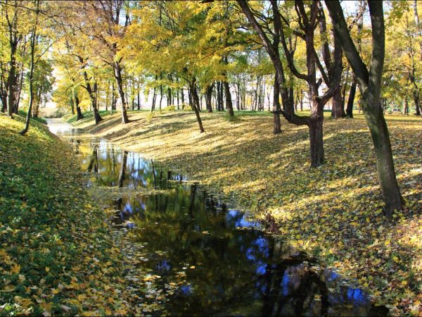 Park w Medyce − pochodzący z drugiej połowy XVI wieku (z reliktami z XIV i XVI wieku).