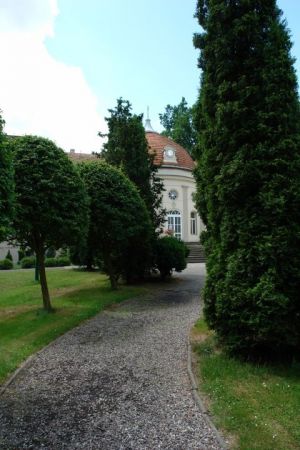 Część pałacowego parku