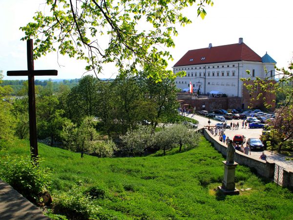 zdjecie Sandomierz