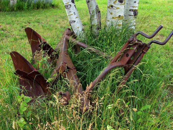 Zdjęcia Wola Suchożebrska