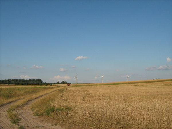 Farma wiatrowa.