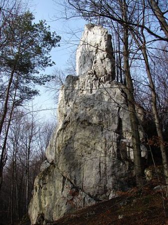 Siedlec - ostaniec Jastrzębia Skała