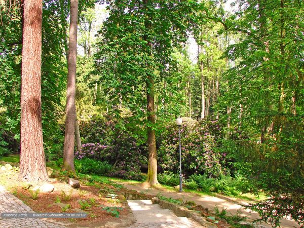 Polanica-Zdrój Park Różanecznikowy
