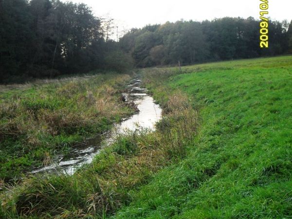 Rzeka REGA w SŁAWIE.