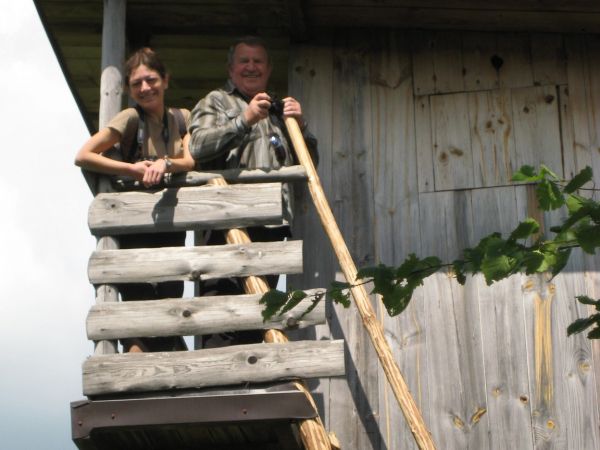 wejść tam i ambonę myśliwską jako platformę widokową - potraktować, widokami się napawać, nasycać i kontemplować, ale i też zwierzyny wszelakiej tam pełno, płow