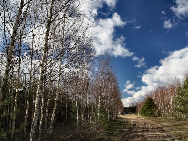 zdjecie Tyniewicze Duże