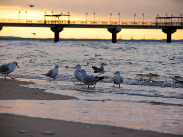 Widok na molo o zachodzie słońca