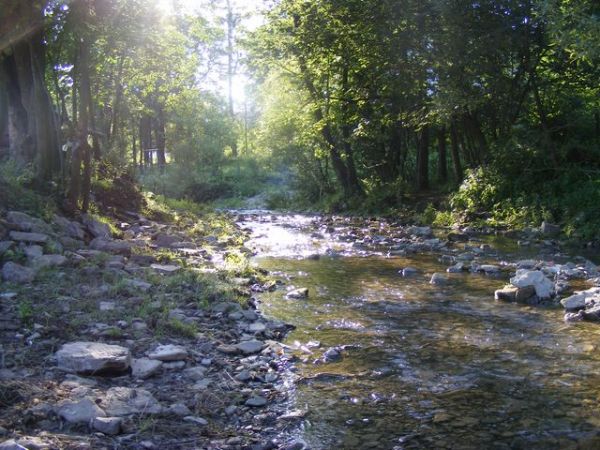 Strumyk tuz obok agroturystyki ''U Zośki"