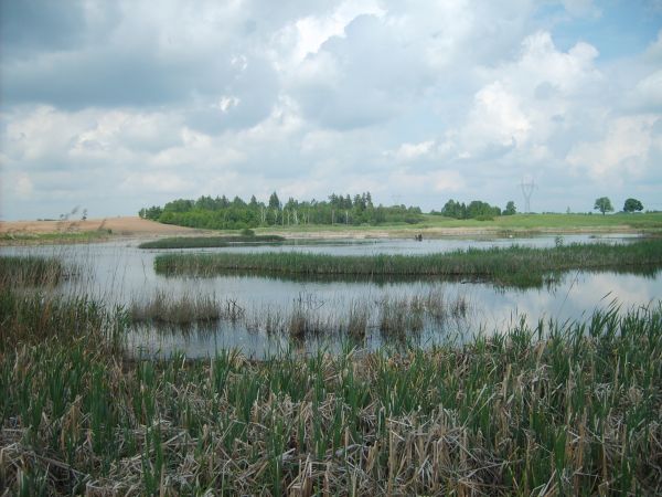 Przyjeżdżajcie na karasie do Fiugajek zanim Pan M. spuści całkowicie wodę ;)