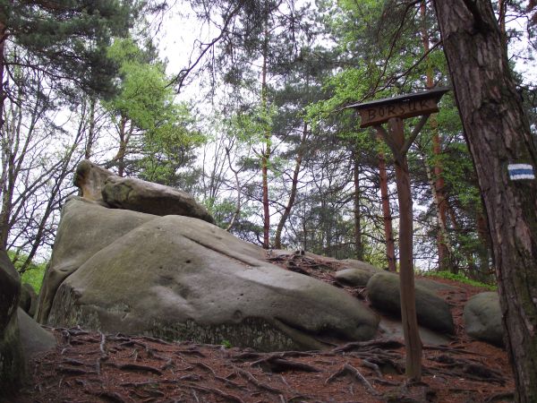 zdjecie Ciężkowice