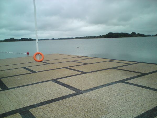 Kaczkom deszcz nie przeszkadza...