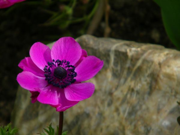 idzie zima  jesień wczesna  susza ciekawe czy nauka o tym wiedziała wcześniej dziwą cisze odczuwam