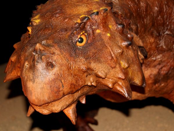 zdjecie Starachowice