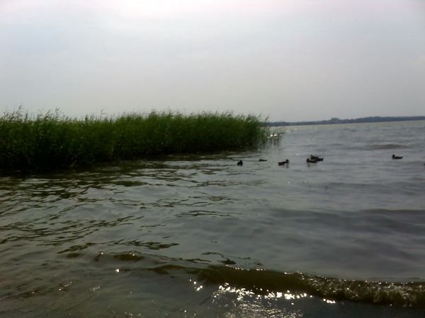 J. Gołdapiwo, kąpielisko