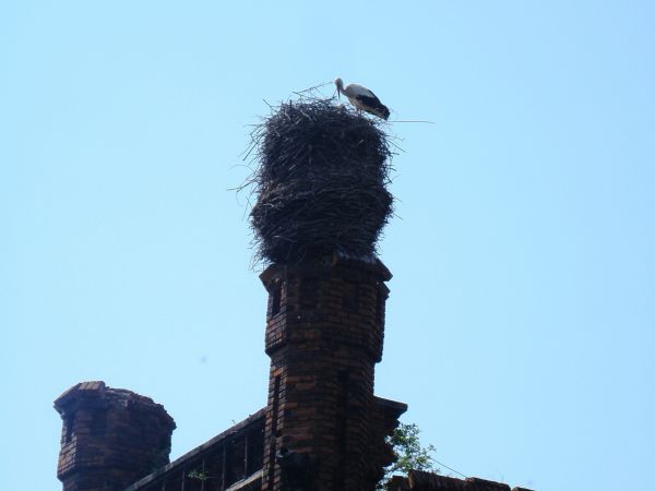 " nowy właściciel zamku" -))