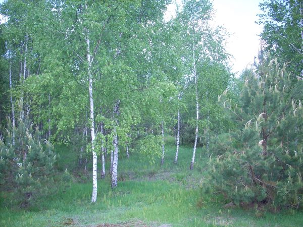 zdjecie Piłatowszczyzna