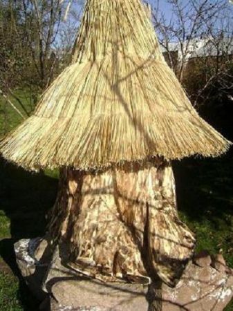 Ulica 20 ramkowy w poterznej karpie topoli