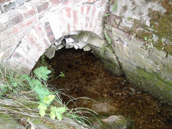 zdjecie Orłów Murowany