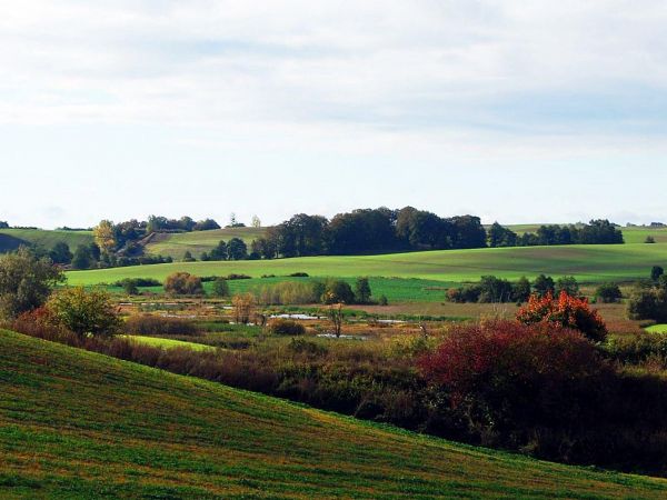Rozlewisko między Moranami a Stanowem.