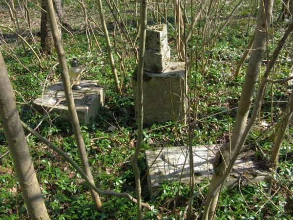 na cmentarzu wyznawców obrządku grecko-katolickiego, do czasu wysiedleń - mieszkańców tej wsi.