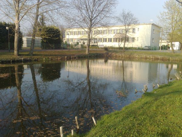 Szkoła Podstawowa nr 4 im. Władysława Broniewskiego ul. Wł. Broniewskiego 5 63-900 Rawicz tel. +48 65 545 20 14 e-mail: sp4@rawicz.pl strona interntowa: www.sp4