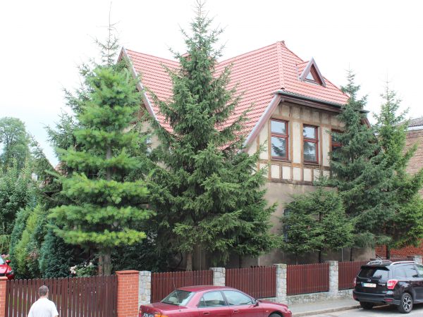 Willa rodziny Mossych