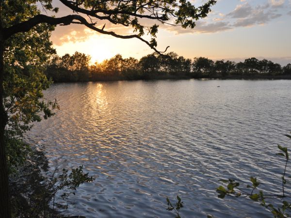 zdjecie Wodzisław Śląski