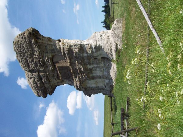 Ostaniec skalny - Czarcia (Diabelska) Maczuga