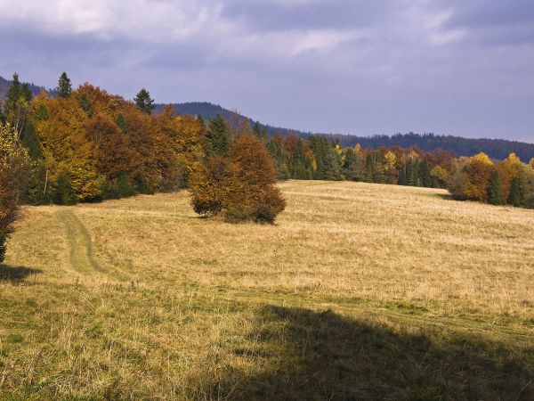 zdjecie Sucha Dolina