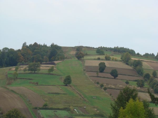 "prymne" z remizami śródpolnymi wschodnie zbocze pasma Jaworzyna a kto wie o tym, że we wsi w XIX wieku węgiel brunatny wydobywano i że zaborca austriacki "zamk