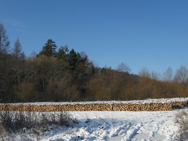 "nasze drewniane - bieszczadzkie i beskidzkie - złoto" - dużo jego się pozyskuje ale i jeszcze więcej zostało i stanowi ogromny skarb, który należy monitorować
