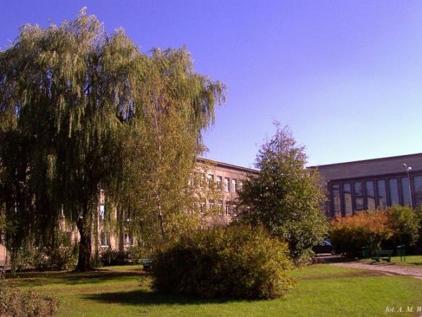 Kalisz -University of A. Mickiewicz