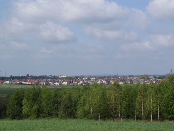 Mława od strony wschodniej