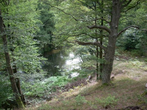 Rzeka Łupawa w okolicach Czarnej Dąbrówki.