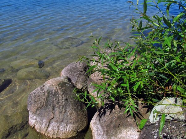Głazy skalne na ujściu kanału Wdy z jeziora w Jeziornej przy plaży gminnej