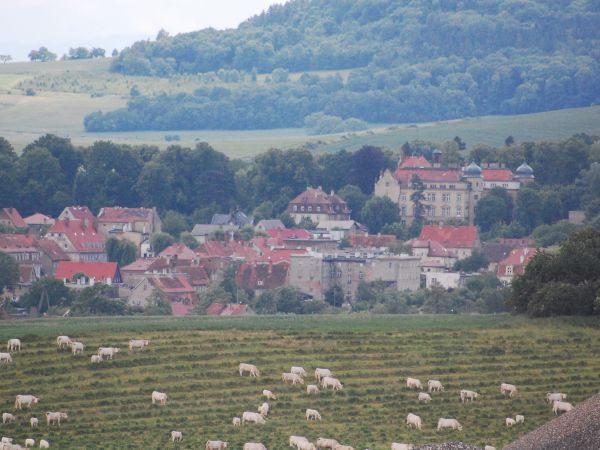 Widok Piławy Górnej, widoczny budynek Ośrodka Szkolno Wychowawczego i budynek mieszkalny przy u. Szkolnej 5