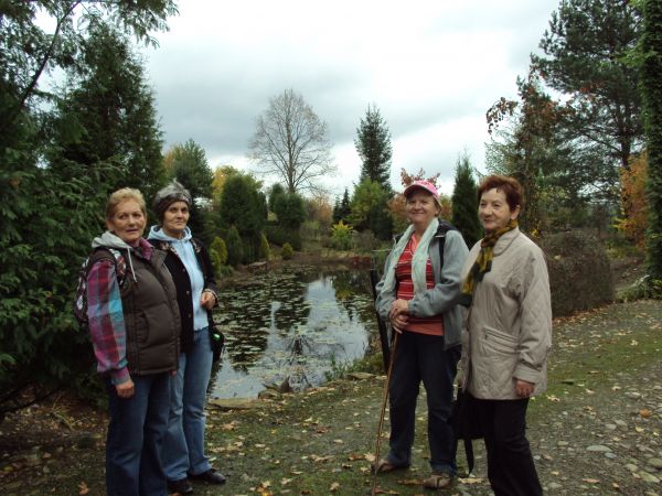 przy jednym ze stawów - tam doskonale rozwija się fitoplankton, roślinność zanurzona i szuwarowa, a także kolejne ogniwa łańcucha pokarmowego - drobne organizmy