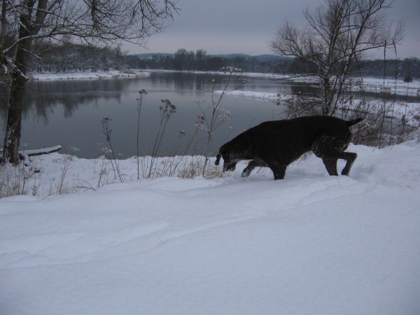 03.01.2010 nad rzeką