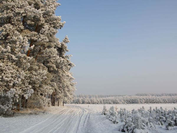 zdjecie Tyniewicze Duże