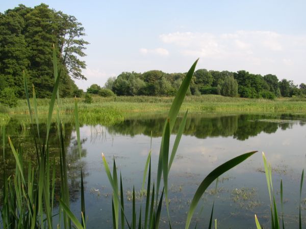 zdjecie Wola Wężykowa