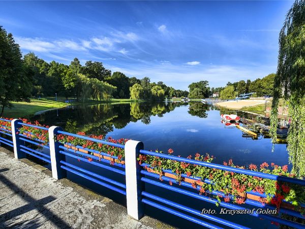 Poniatowa, zalew miejski, kąpielisko miejskie, basen otwarty - foto. Krzysztof Goleń